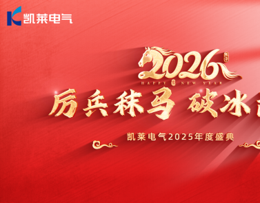 厉兵秣马 破冰前行——凯莱电气2025年度盛典焕启新程！